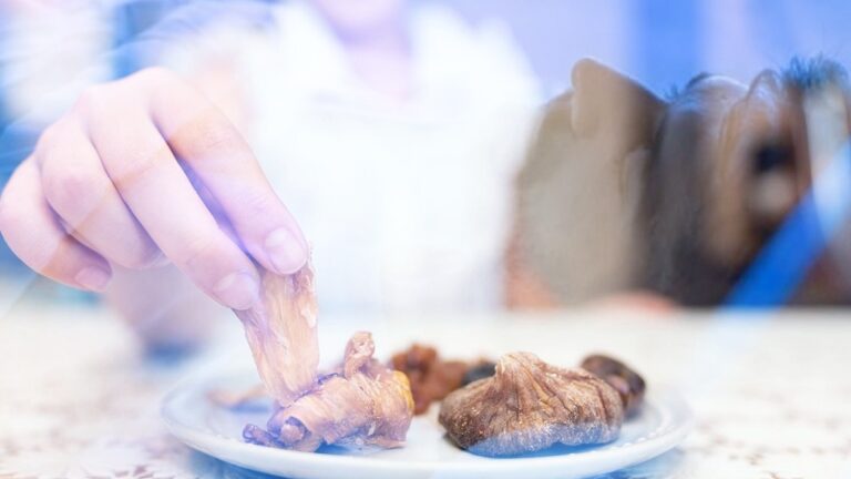 وليمة وعدم وجود ماء.. أمنيات ستتحقق