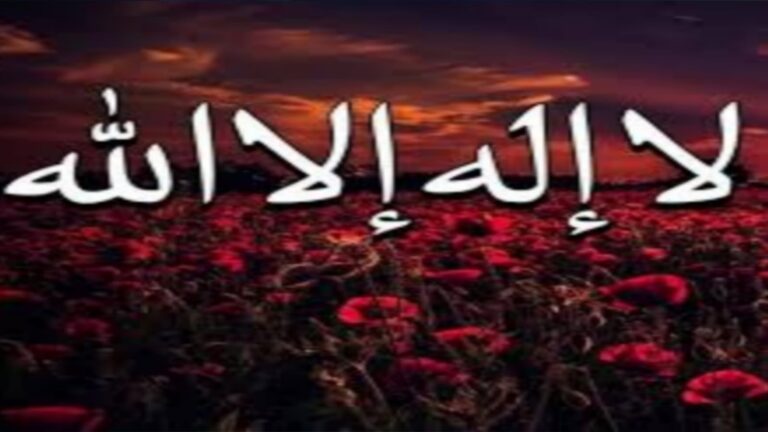 لذة النظر إلى وجه الله الكريم.. دعاء نيل الجائزة الكبرى