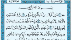 "الجاثية".. تصوير قرأني لمشهد العدالة المطلقة