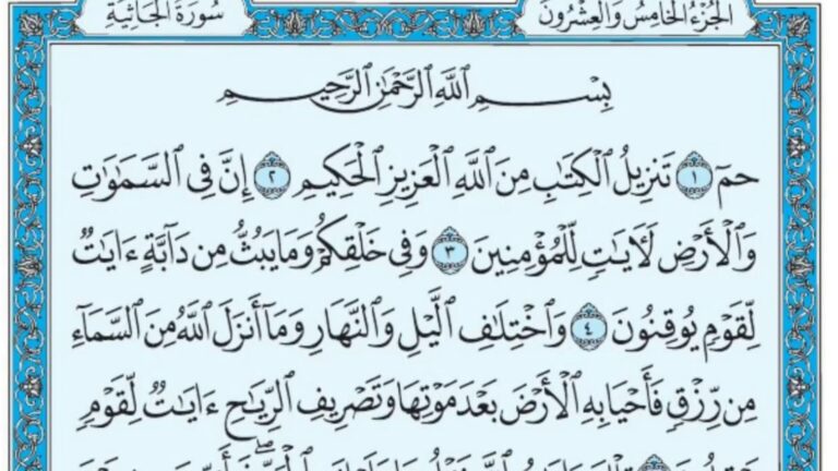 "الجاثية".. تصوير قرأني لمشهد العدالة المطلقة