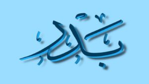 بدر