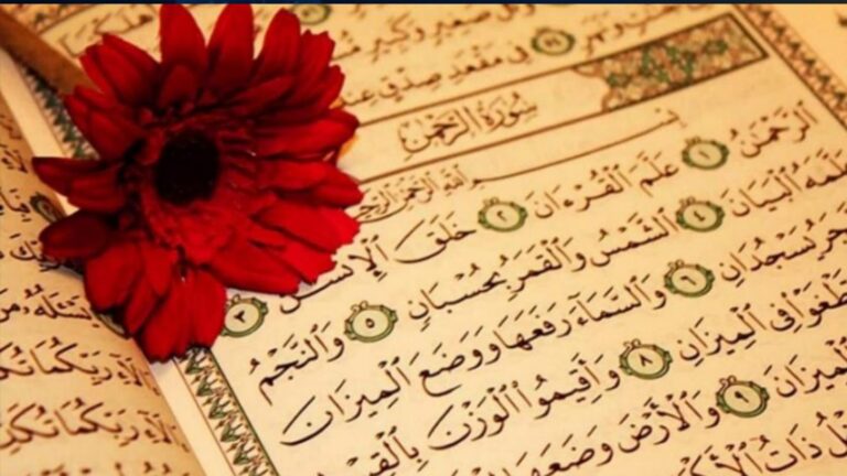 القصة في القرآن.. فن الوعي بالتاريخ والوجود