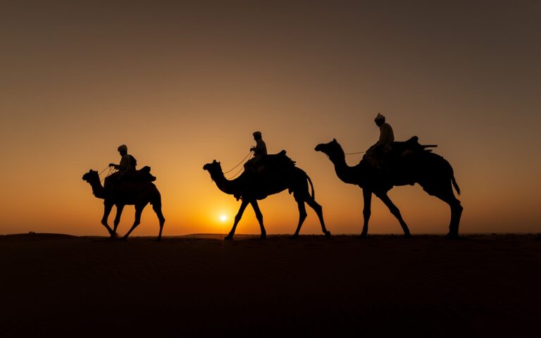 رخصةُ السفر بين التحديد والحاجة